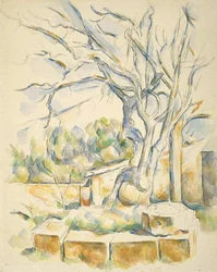 Pistachio Tree at Château Noir